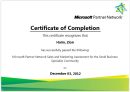טכנאי מחשבים באשקלון טכנאי רשת באשקלון טכנאי תקשורת באשקלון הסמכת מיקרוסופט Microsoft_Sales_Certificate